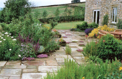 Paved-Area